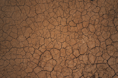 samhorine:chasing trains through the desert (dead sea bound) //...