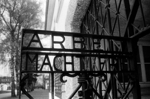 Single party dachau