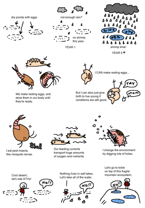 mossworm
