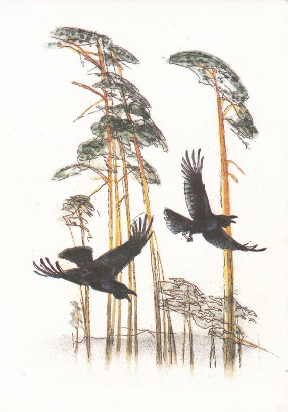 Black Ravens by G. Nikolsky (1988)