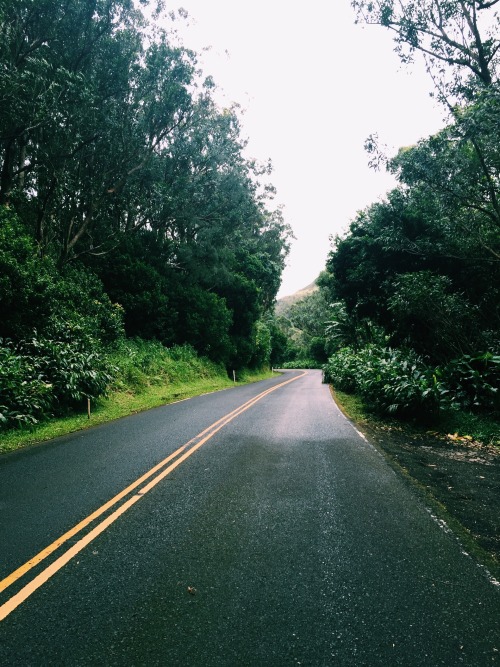 siabrooks:Pali with my puerto rican lover || @waialae​