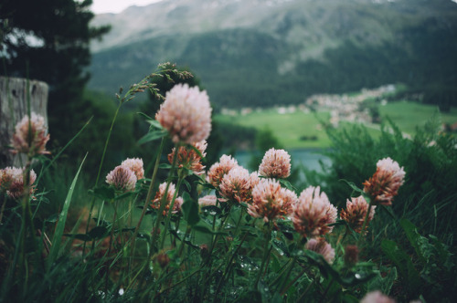 floralls