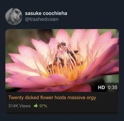 Flower And Bee Porn - bee porn | Tumblr
