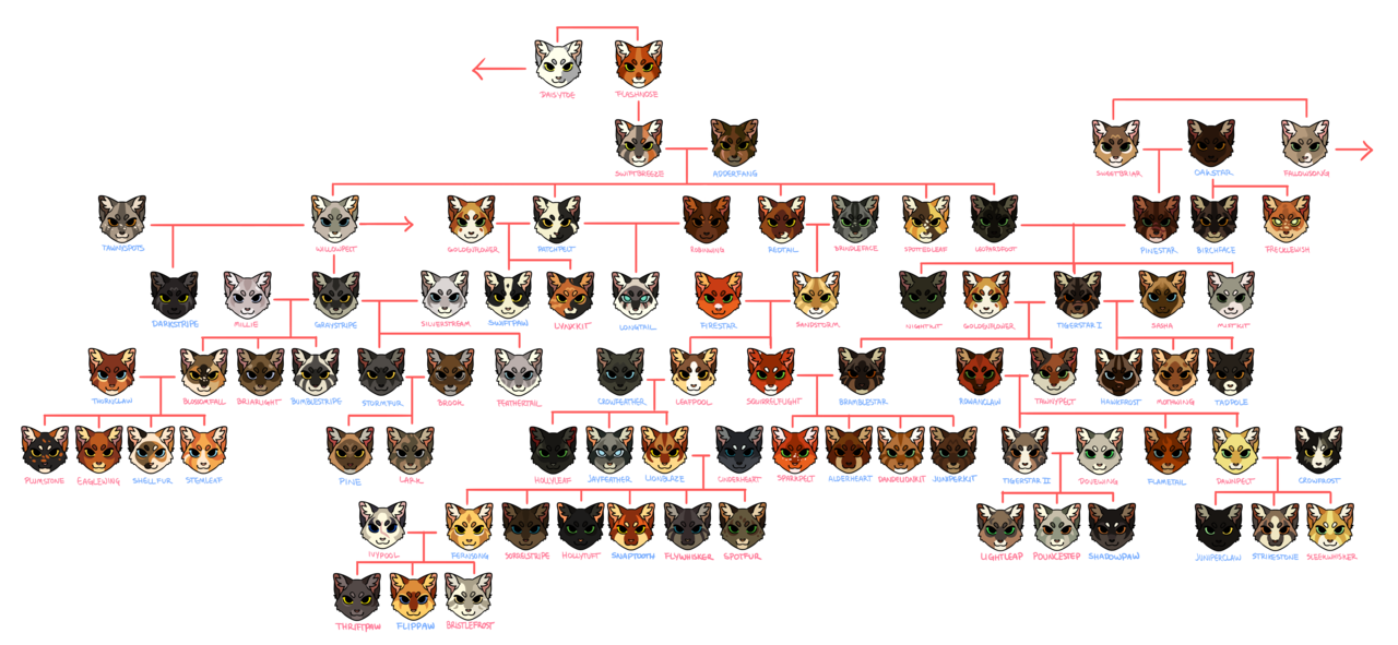 Graystripe Warrior Cats Family Tree