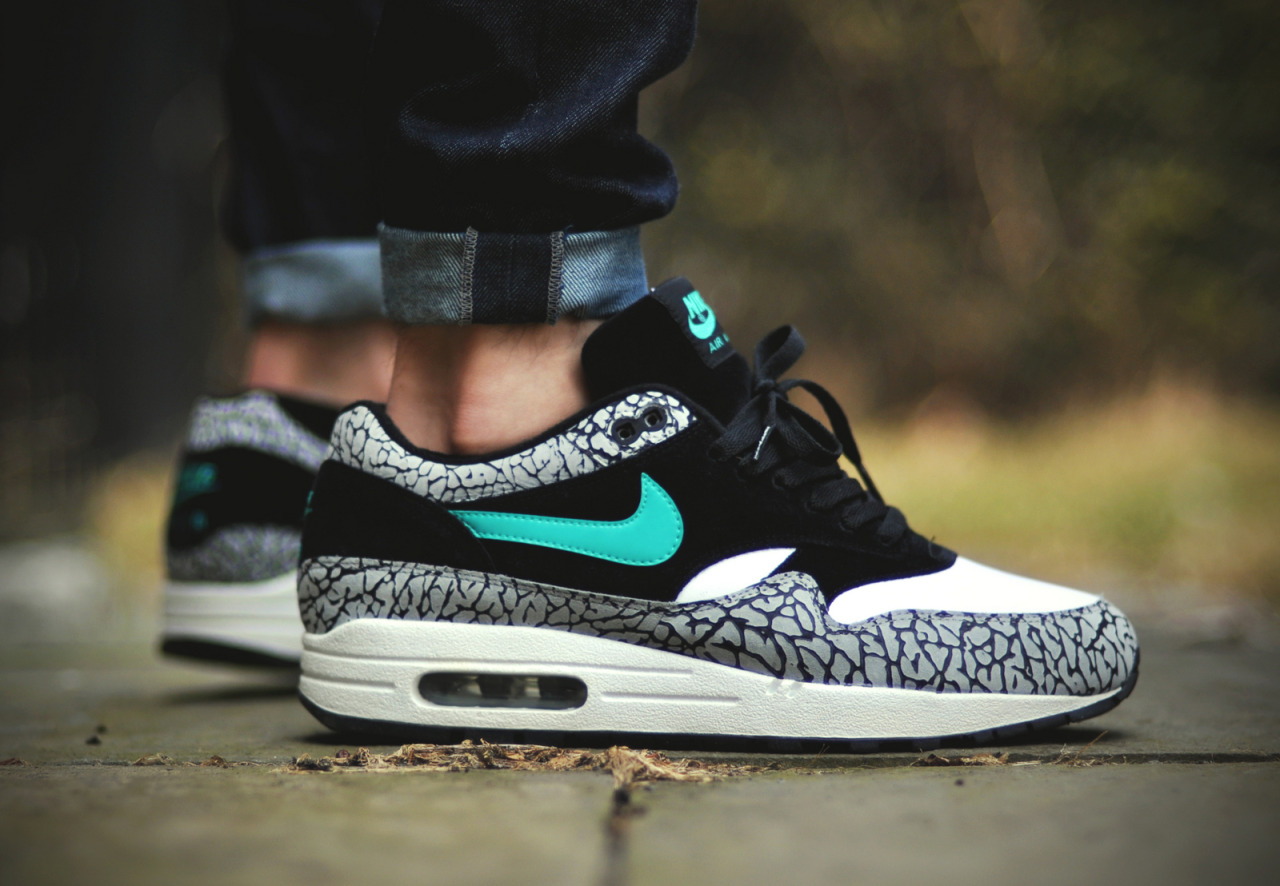 am1 elephant