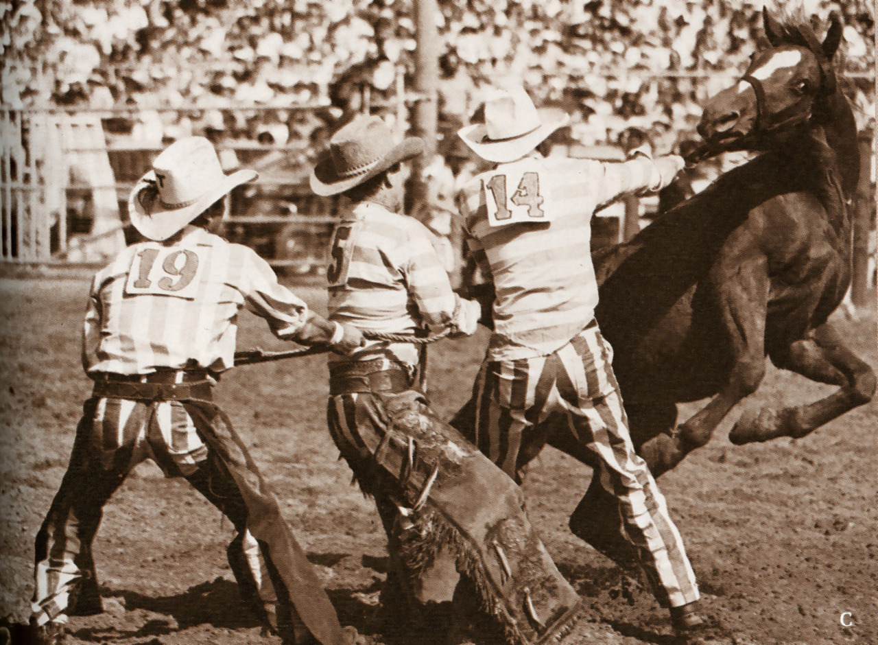 SHSU Special Collections And University Archives