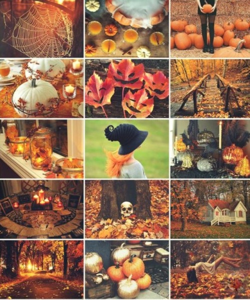 thehappiestpumpkin