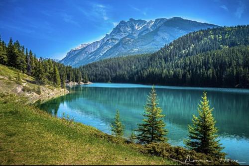 amazinglybeautifulphotography