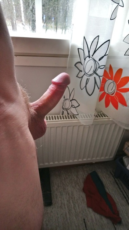 My cock this morning.