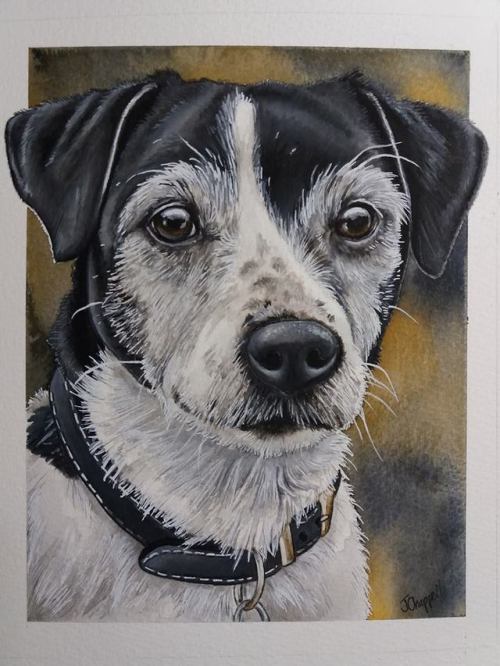 dog painting on Tumblr