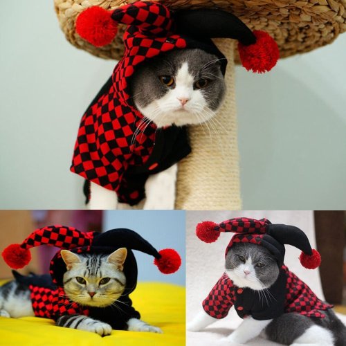 catcosplayuniverse:Harley Cat