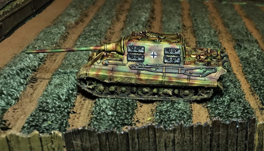 12 Jagdtiger hiding in field, left side