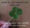 can’t risk it