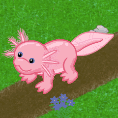 axolotl webkinz plush