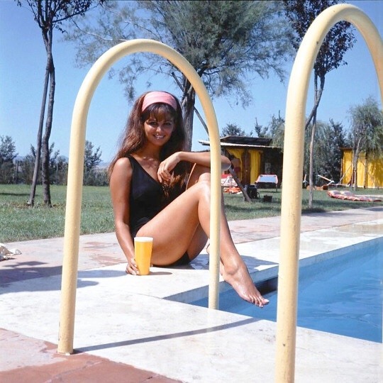 vintagehotmagazine:
“Claudia Cardinale
”