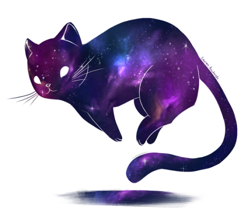  galaxy  space cat  Tumblr