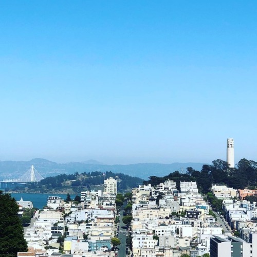 nicholaskontis:A steller day in #sanfrancisco #citybythebay...