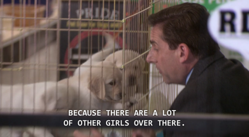 four-toed-creed:Michael goes to the pet store7x15 The Search