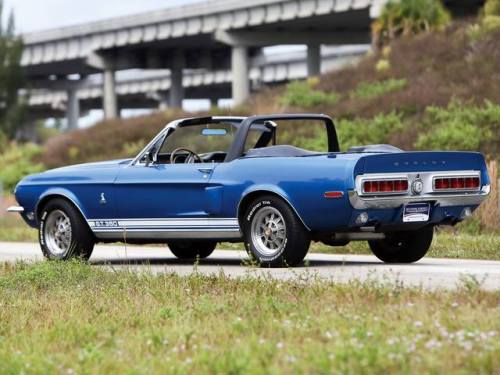 mustanglegendarymachine:1968 Shelby Cobra GT350...