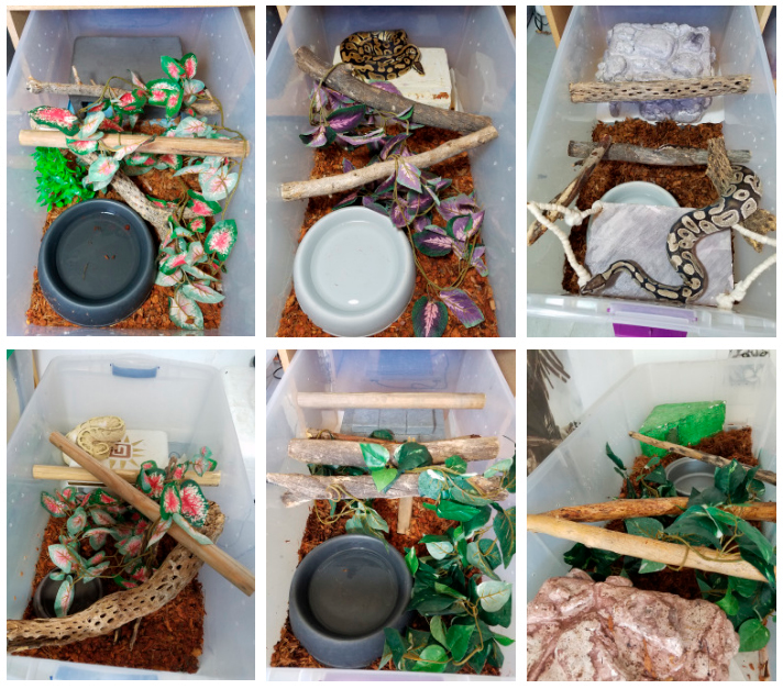 Wheremyscalesslither Tubs How To Create An Appropriate Ball