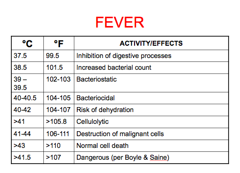 The Fever Chart
