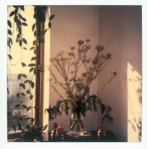 trulyvincent:Andrei Tarkovsky polaroids