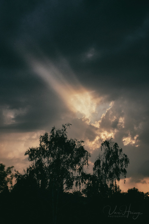 sunlight beams sunrays cloudscape photographers on tumblr original creators xphotographers rays uwhearts uwhe-arts by uwe heinze nature cloudy stormy weather stormy hole in the sky earth landscape trees dark sky dark skies explore vertical x-t10 fujifilm x-t10