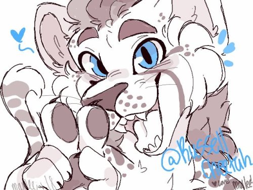 follo my twitter for some funky free art hoes furry clean furry akita cheetah red panda fursona artists on tumblr my artwork requests