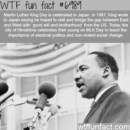 WTF Facts : funny, interesting &amp; weird facts