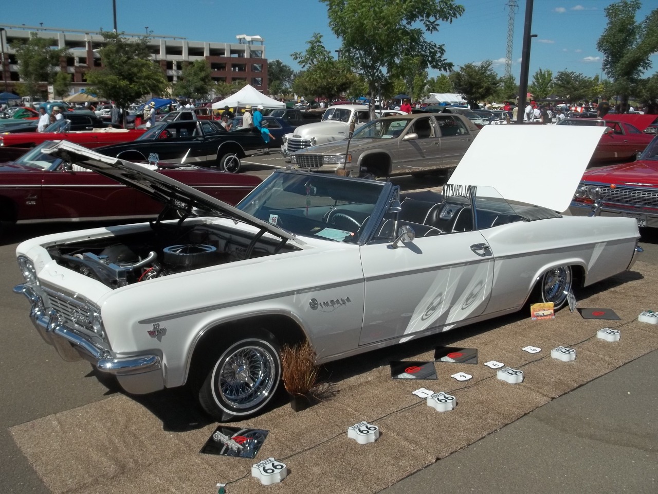 Classic Impalas