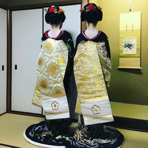 gion-east:Omisedashi: October 4th,2018: Maiko Kanochiyo and...