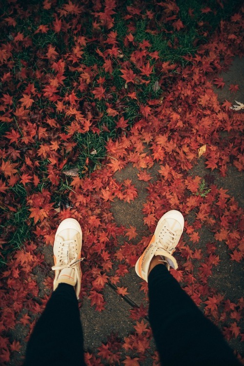 fall | Tumblr