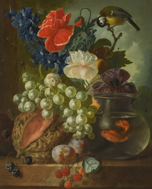 catonhottinroof:Jan van Os  (1744 - 1808)  STILL LIFE WITH...