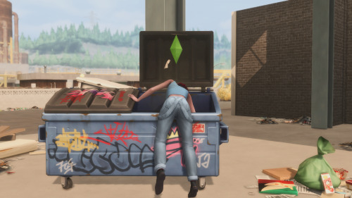 simbic