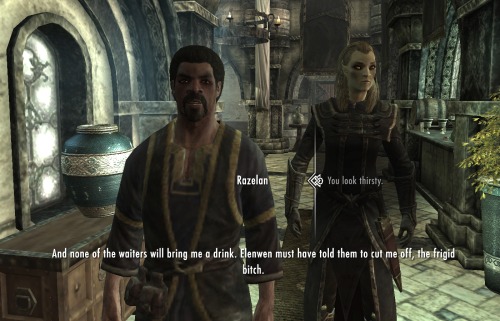 Elder Scrolls tes screenshot elenwen stormcloak thalmor skyrim