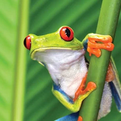 Snake Eater