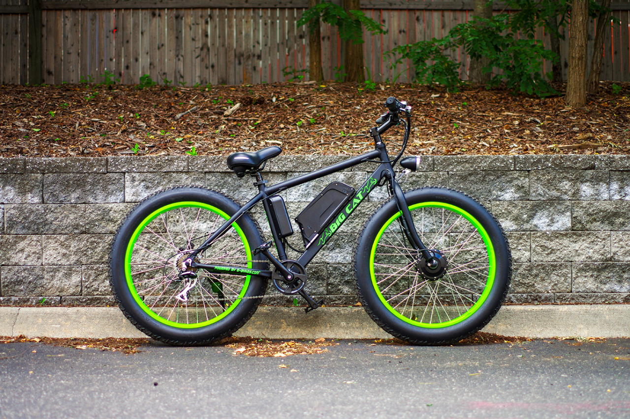 fat cat electric bike