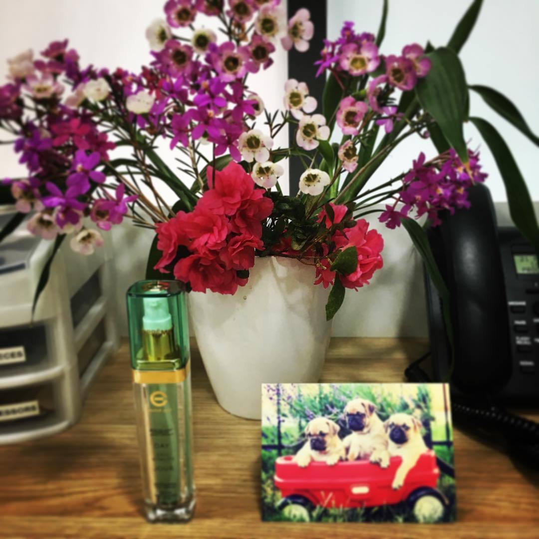 ‘Doc this is for you to cure Monday-itis’! Certainly a great way to start the week :) 🌹🌻 #monday #mondayblues #flowers #floral #pretty #pink #red #pugs #dogs #card #thankyou #cream #daycream #elizabethgrant #healthpromotion #stayhealthy #gplife...
