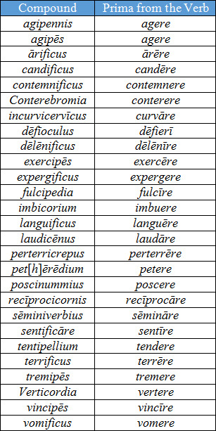 Latin Verb Chart