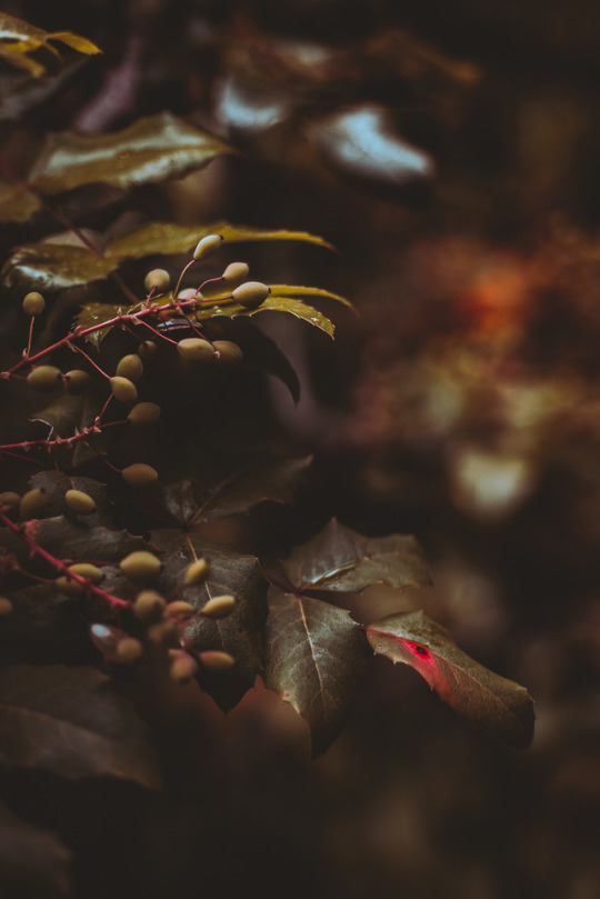 thank you for always helping the photography community out around here… people like you make me appreciate tumblr for the...