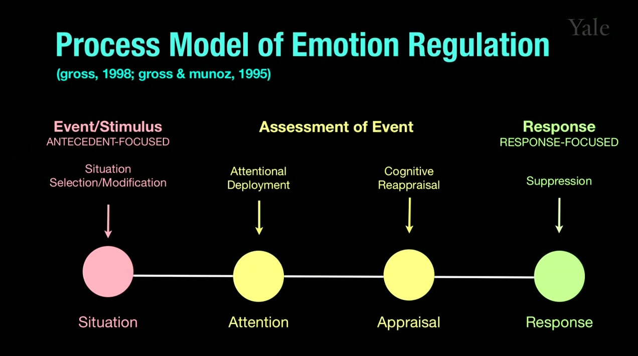 Evokit Notes Human Emotion 14 1 Emotion Regulation I What Is 