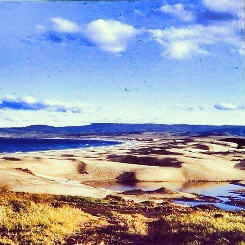 Lost Wollongong — The famous Port Kembla sand dunes in the 1950’s...