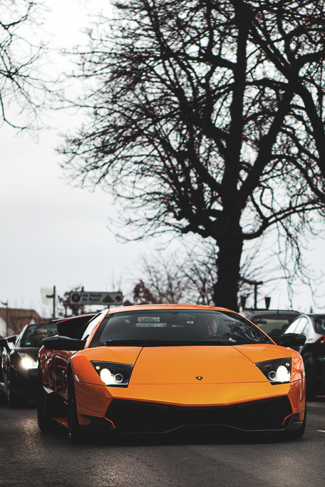 captvinvanity:Mathieu Bonnevie | Lamborghini Murcielago 