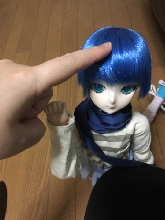 tumblr_oevyykMoCN1vc0jzco2_540.jpg