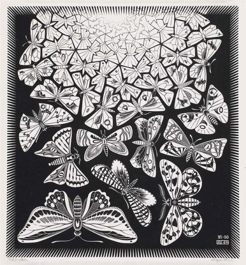 Maurits Cornelis Escher (Dutch, 1898-1972) - Butterflies (B....