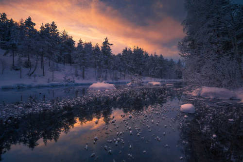 cedorsey:© Sunday’s Featured Photographer, Ole Henrik Skjelstad