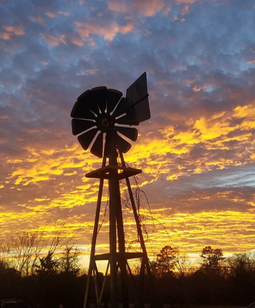 etxtraveler: “ A picture that instantly screams “this is Texas”! Photo from Quitman, Texas (Wood County). ?by Cheryl Chaney ”
