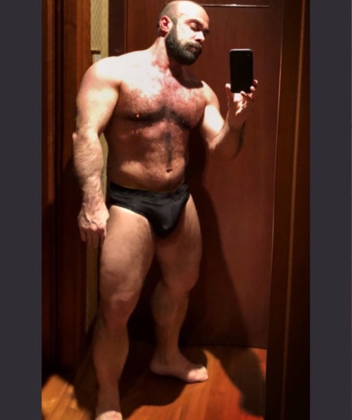 atbears:atbears:atbears:atbears: