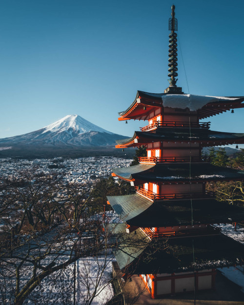 takashiyasui