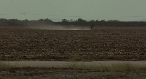 celibatemachine:Near Dark (1987, Kathryn Bigelow)